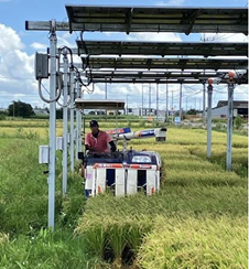 Agro PV