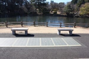 Shinjuku Gyoen PV 12