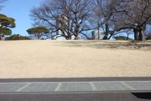 Shinjuku Gyoen PV 6
